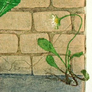 Fine art printmaking. Botanical print, urban weeds. Collagraph with mono print, OOAK image 3
