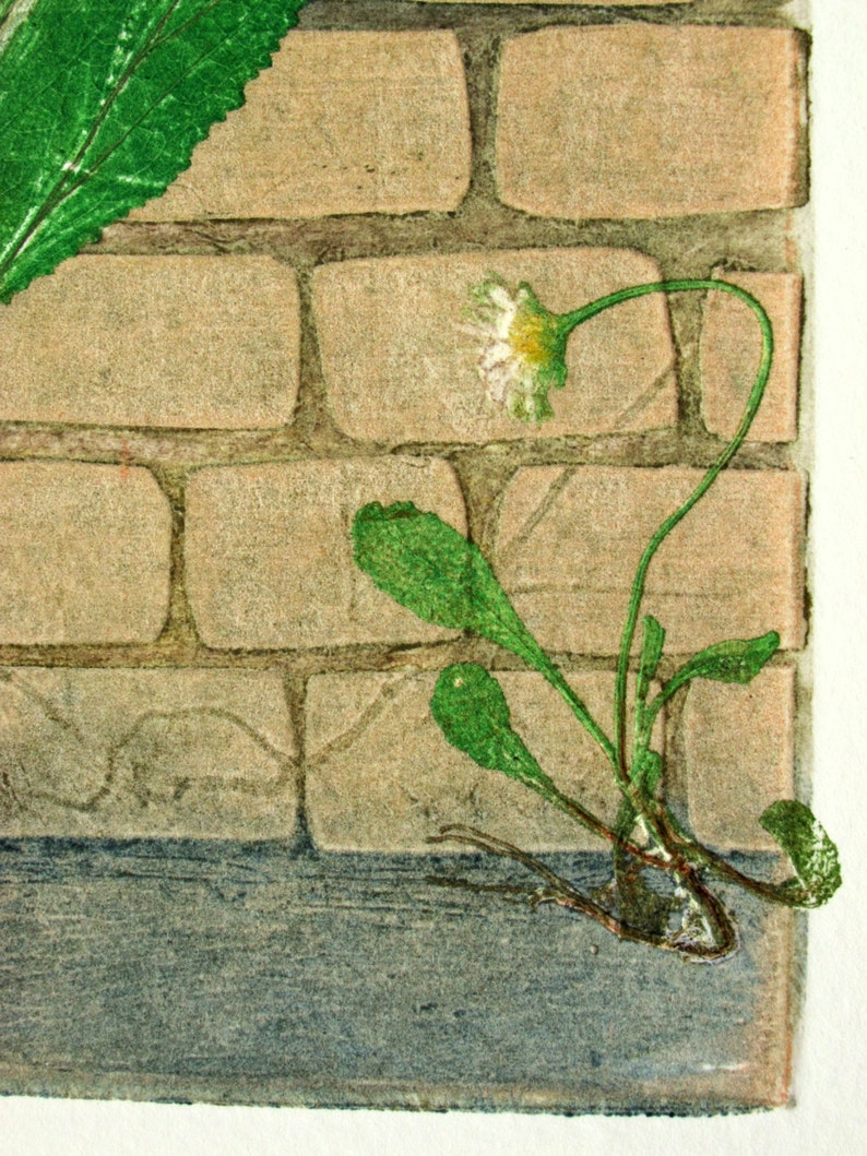 Fine art printmaking. Botanical print, urban weeds. Collagraph with mono print, OOAK image 3