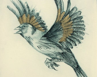 Goldfinch. Fine art limited edition drypoint.