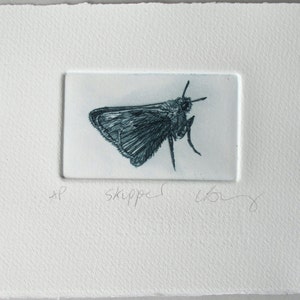 Drypoint butterfly print. Cute little Skipper. Hand printed Artist Proof. image 2