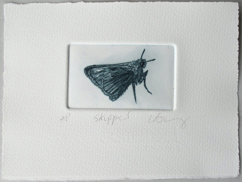 Drypoint butterfly print. Cute little Skipper. Hand printed Artist Proof. image 2