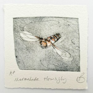 Puede incluir: Una impresión detallada de un sírfido en vuelo, en tonos grises, marrones y blancos. Las alas del insecto están extendidas y el texto "Marmalade hoverfly" está escrito debajo de la imagen.