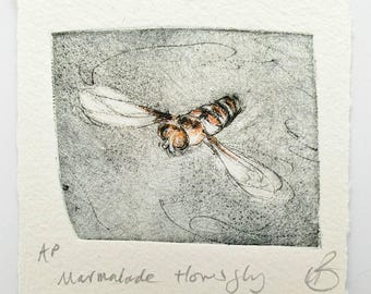 Marmalade Hoverfly mini print