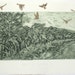 see more listings in the Collagraph  section