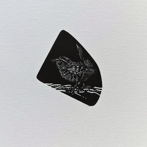 Little Wren Wood Engraing. Original print. Small bird image 3