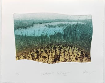 Dartmoor landscape with blanket bog plants