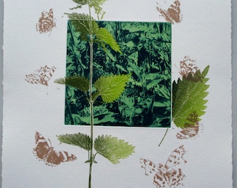 Butterflies love nettles. Photo Etching mono print with screenprint. Limited edition