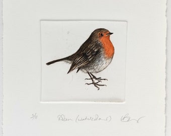 Robin Redbreast. Drypoint on Somerset paper tinted with watercolour