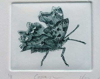 Comma Butterfly. Fine art print. Limited edition