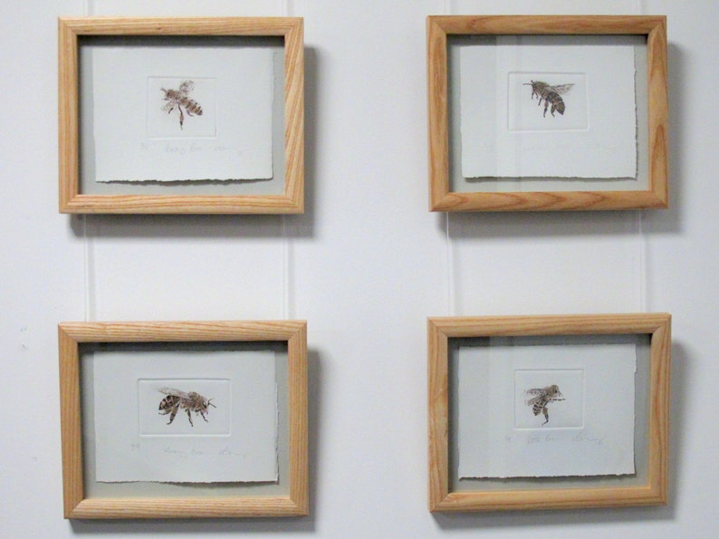 Busy little honey bee. Limited edition drypoint image 10
