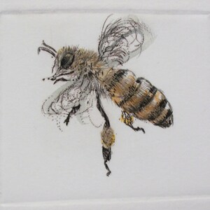 Busy little honey bee. Limited edition drypoint image 4