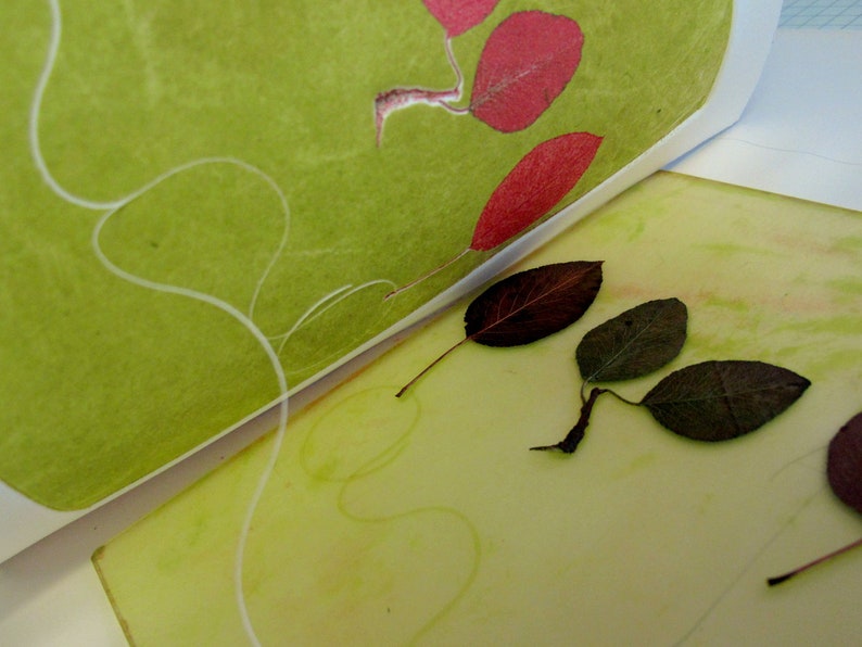 Spring green with red leaves. Monotype pear leaves. image 4