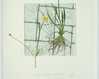 Botanical print. Urban weeds. Collagraph with mono print