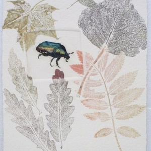 Un framed original drypoint print of a Noble Chafer Beetle on vintage handmade paper