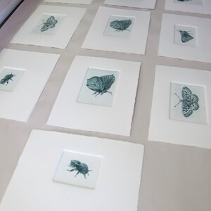 Drypoint butterfly print. Cute little Skipper. Hand printed Artist Proof. image 5