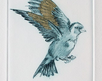 Fine art Bird print. Goldfinch drypoint. Blue with gold tissue