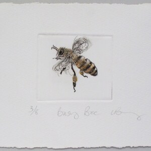 Busy little honey bee. Limited edition drypoint image 2