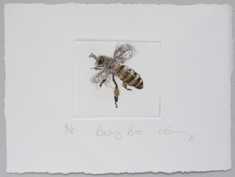 Busy little honey bee. Limited edition drypoint image 2