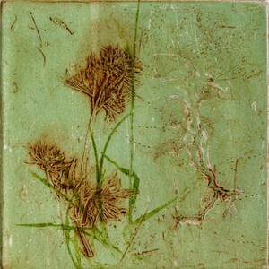 Botanical print. Collograph mono print. Wild flower. Hand printed OOAK.