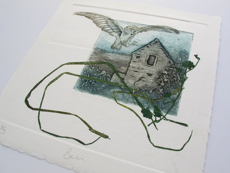 Barn Owl with Devon Barn. Collagraph, drypoint and monoprint image 4