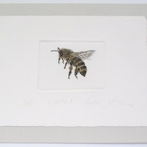 May include: A black and white etching of a bee in flight, with the text "3/6 Wolves Bee 1226" in the bottom left corner.