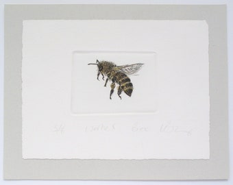 Worker Honey Bee. Limited edition drypoint