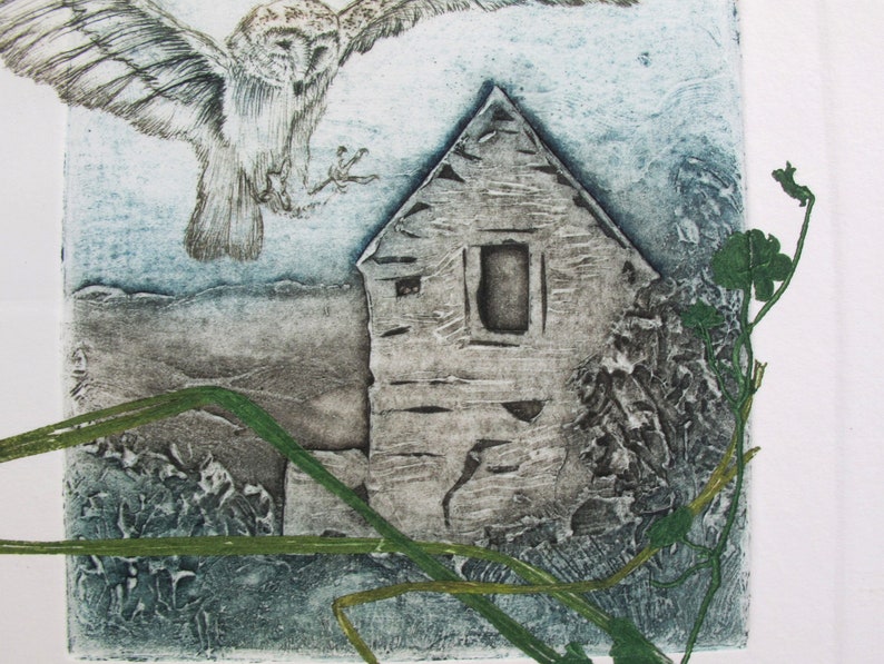 Barn Owl with Devon Barn. Collagraph, drypoint and monoprint image 6