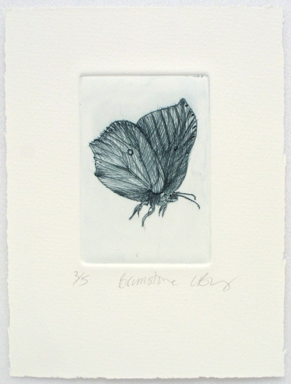 Drypoint Brimstone butterfly. Cute little bug. Hand printed on | Etsy