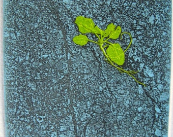 Photo etching mono print. Plucky weed, Handmade print, limited edition