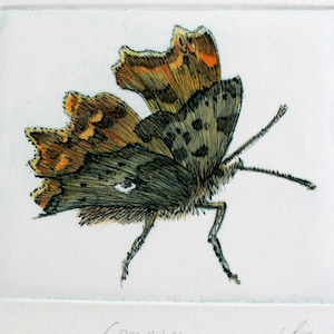 Puede incluir: Ilustración detallada de una mariposa, con patrones y colores intrincados. Las alas de la mariposa muestran una mezcla de tonos marrones, naranjas y negros, con una apariencia texturizada. La obra de arte está sobre un fondo blanco.