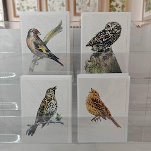 May include: Four greeting cards featuring detailed illustrations of birds. The cards showcase a goldfinch, an owl, a thrush, and a sparrow. Each bird is perched on a branch or stump, rendered in a realistic style with a neutral background.