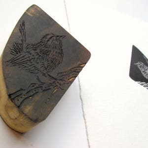 Little Wren Wood Engraing. Original print. Small bird image 9