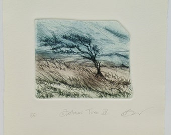 Dartmoor Tree drypoint etching