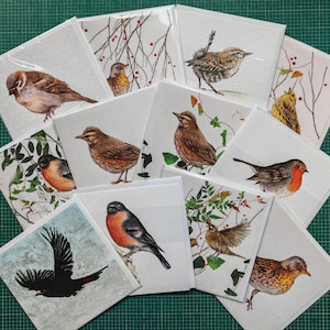Op de afbeelding: Een verzameling vierkante wenskaarten met aquarel illustraties van verschillende vogels. Elke kaart toont een andere vogelsoort, met gedetailleerde veren en natuurlijke achtergronden. De kaarten zijn gerangschikt op een groene snijmat.