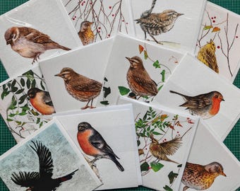 Pack of 6 Greeting cards. Pick your own from 12 birds. Notelets.