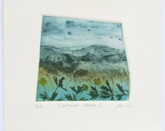 Dartmoor Mires. Blanket bog artwork. Devon landscape