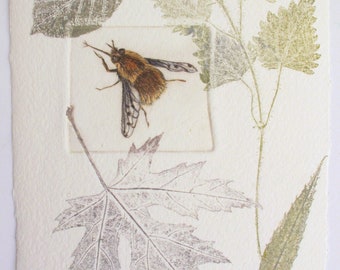 Unframed Dotted Bee-Fly mono print. Hand printed on hamd made vintage paper.