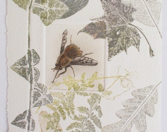 Dotted Bee-fly with ivy. Hand printed on  hand made paper