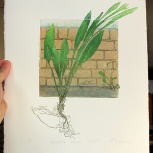 Fine art printmaking. Botanical print, urban weeds. Collagraph with mono print, OOAK image 5