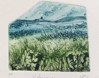 Dartmoor Sphagnum moss landscape drypoint etching