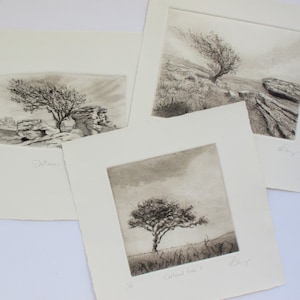 Dartmoor Tree. Vintage style. image 10