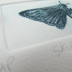 Drypoint butterfly print. Cute little Skipper. Hand printed Artist Proof. image 3