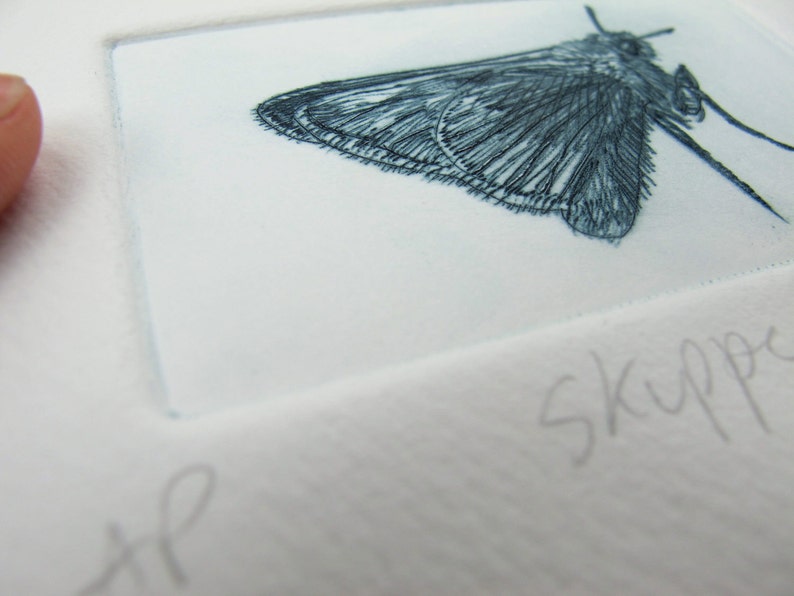 Drypoint butterfly print. Cute little Skipper. Hand printed Artist Proof. image 3