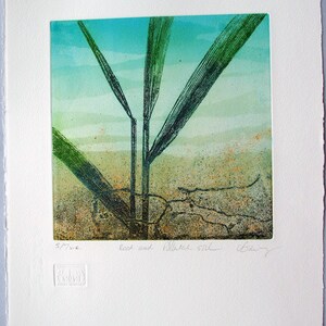 Copper plate Etching. Fine art. Reeds and rusty soil. Limited variable edition. image 2