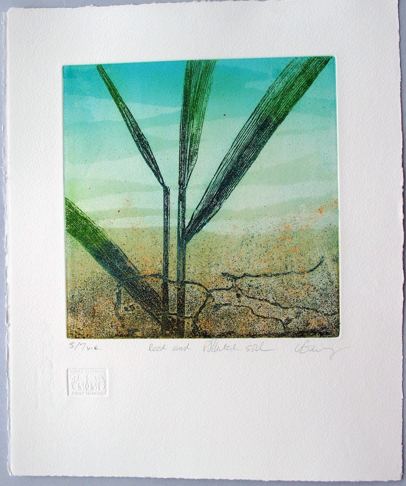 Copper plate Etching. Fine art. Reeds and rusty soil. Limited variable edition. image 2