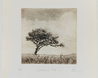 Dartmoor Tree I. Sepia drypoint on Hahnemühle etching paper