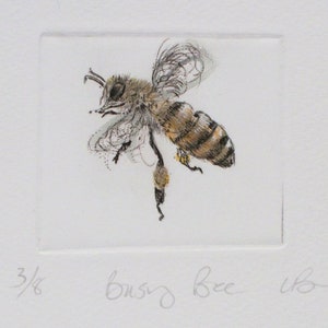 Busy little honey bee. Limited edition drypoint image 3