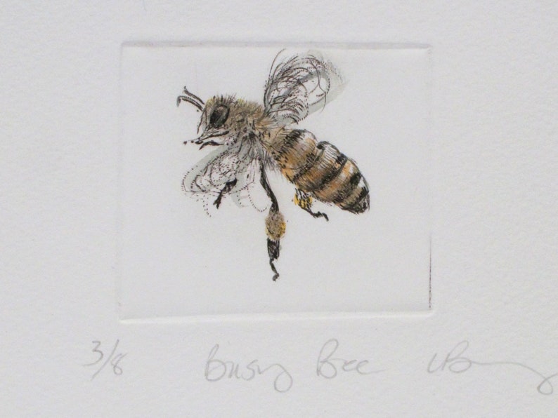 Busy little honey bee. Limited edition drypoint image 3