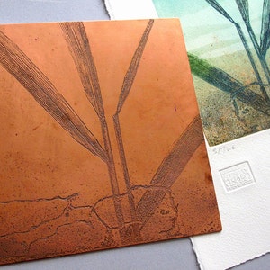 Copper plate Etching. Fine art. Reeds and rusty soil. Limited variable edition. image 4