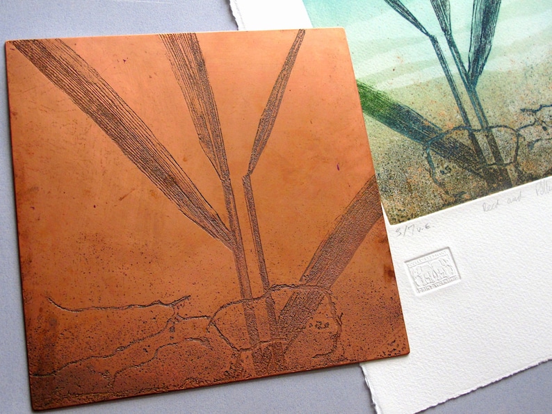 Copper Plate Etching. Fine Art. Reeds and Rusty Soil. Limited Etsy